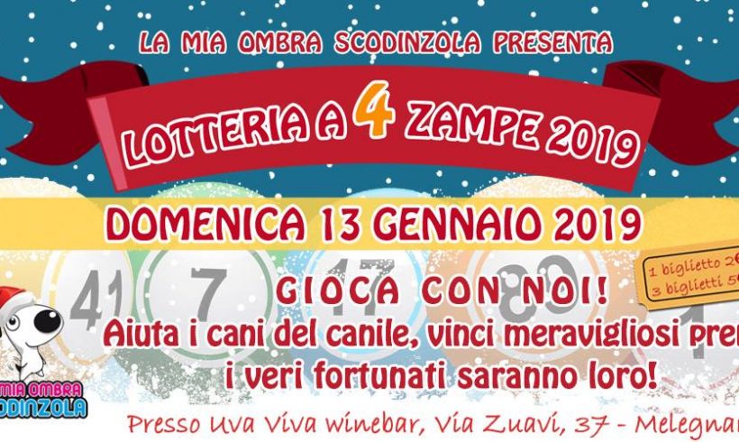 Lotteria a 4 Zampe 2019